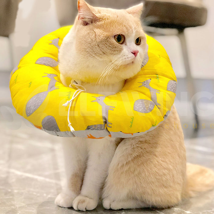 Pet Protective Collar (Elizabeth Ring)