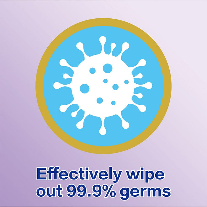 Vinda 40sheets Moist Toilet Wipes VCW3425A (Herbal Scent) (24 pack)