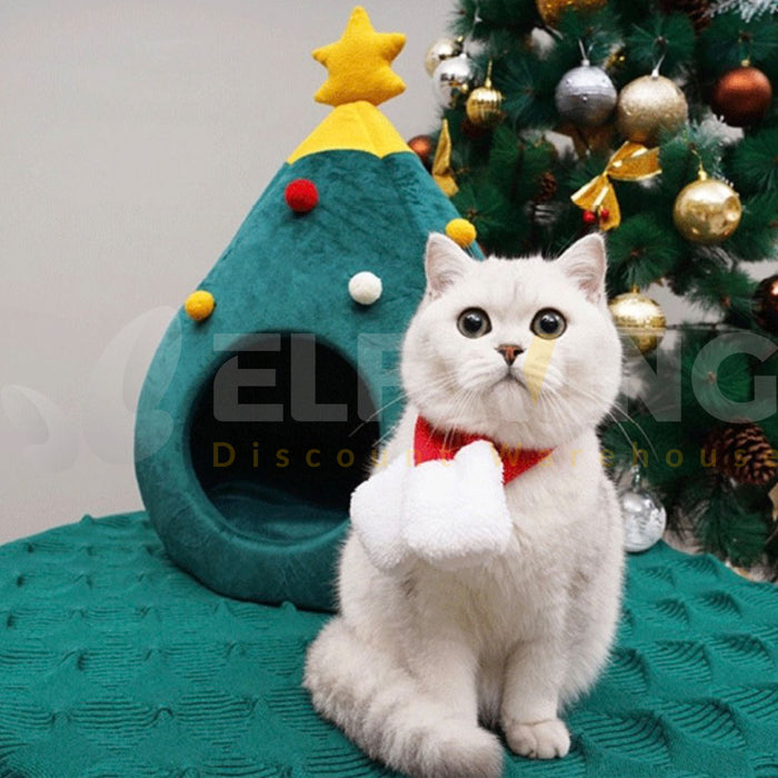 A cat for christmas shop